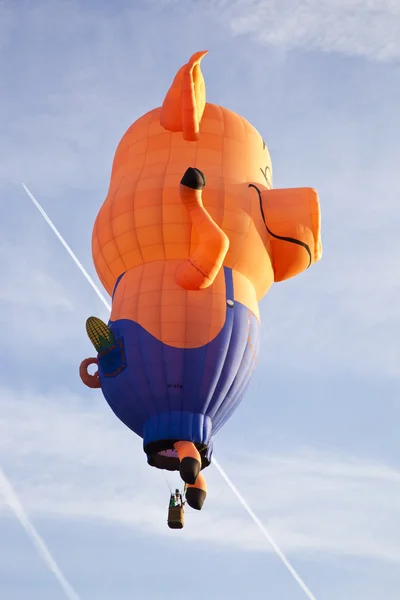 BARNEVELD, THE NETHERLANDS - 17 AUGUST 2012: Colorful pig balloon taking of — Stock Photo, Image