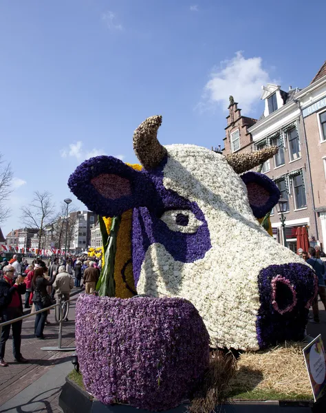 HAARLEM, THE NETHERLANDS - APRIL 21 2013: Dutch cow with flowers at flower parade on April 21 2013 in Haarlem, The Netherlands. The annual flower parade is a unique event with one million visitors. — Stock Photo, Image