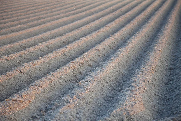 Bekijken van agrarische landschap met patroon — Stockfoto