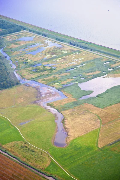 Holendrzy natura pejzaż z wody i forrest z Holandii — Zdjęcie stockowe