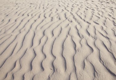 yakın çekim yapı kum Beach deki IJmuiden, Hollanda