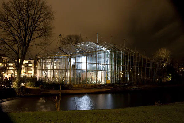 Amsterdam, the Netherlands: hortus botanicus amsterdam building with lights at annual amsterdam light festival on December 30, 2013. amsterdam light festival is a winter light festival — Stockfoto