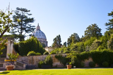 View at Saint Peter church from Vatican garden in Rome, Italy clipart