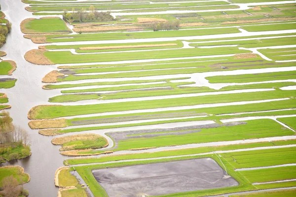 Zielony krajobraz z wody, twiske Holandia — Zdjęcie stockowe