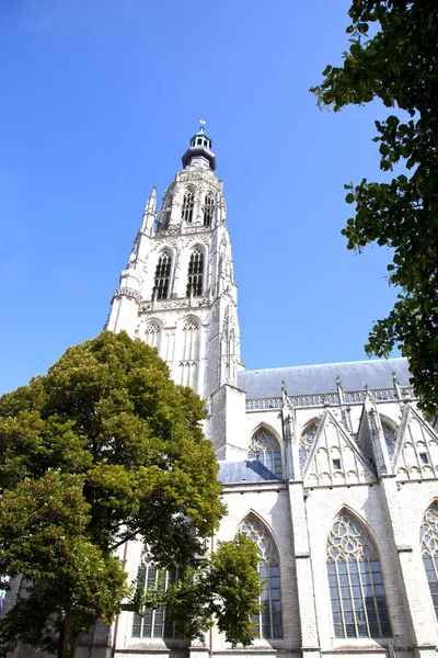 Blick auf große Kathedrale unserer Dame in Breda, Niederlande — Stockfoto
