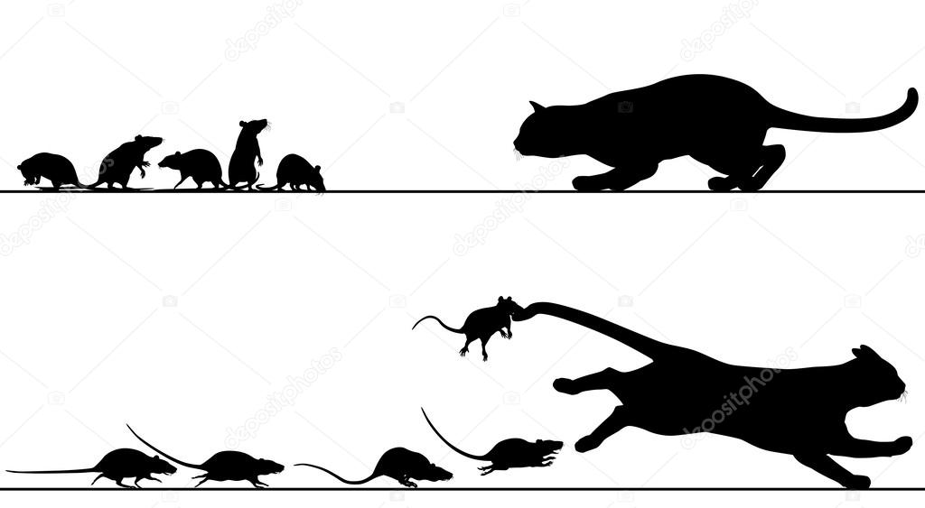 Rats chasing cat ??? Stock Vector ?? Tawng 24235837