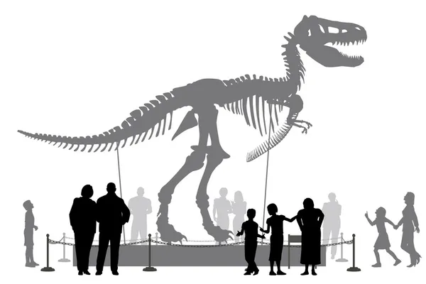 Динозавр музей — стоковий вектор