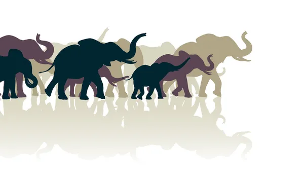 Troupeau d'éléphants — Image vectorielle