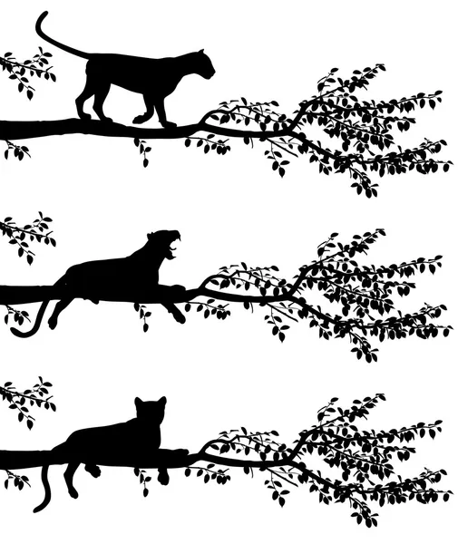 Träd leopard — Stock vektor