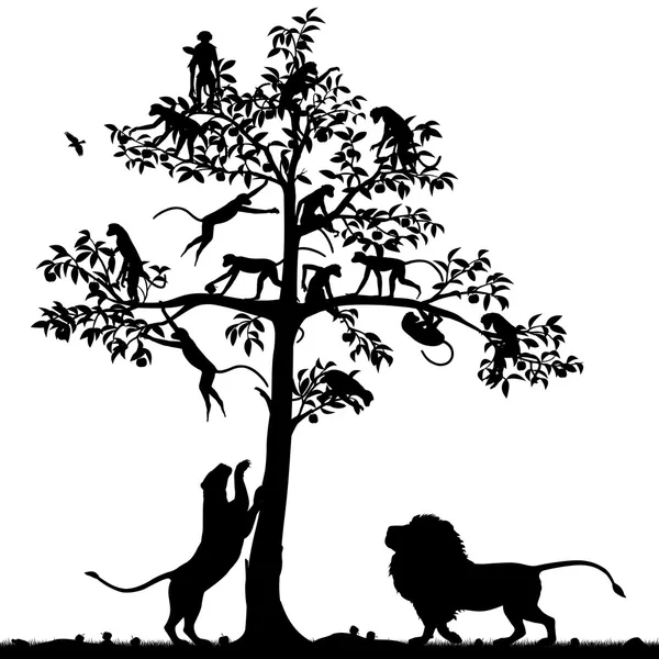 Πιθήκους και τα λιοντάρια — Διανυσματικό Αρχείο