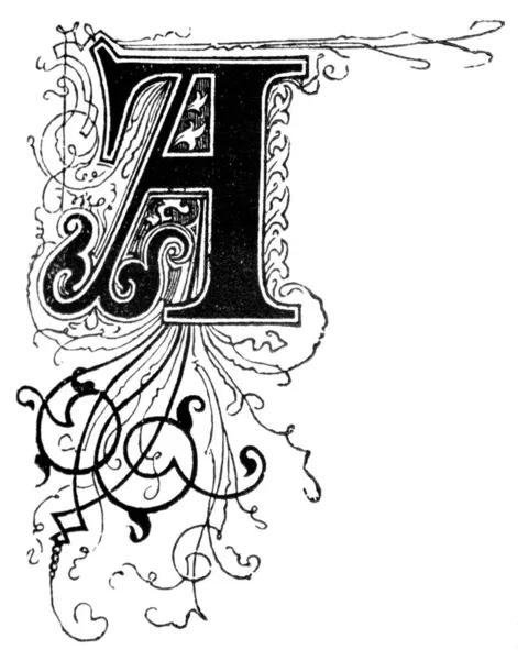 Letra A decorativa mayúscula adornada, con adorno o adorno floral. Dibujo antiguo vintage —  Fotos de Stock