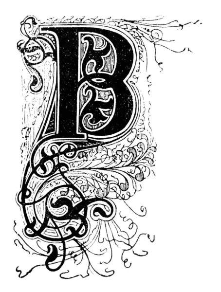 Capital Decorative Ornate Letter B, Virágdíszítéssel vagy díszítéssel. Vintage antik rajz — Stock Fotó