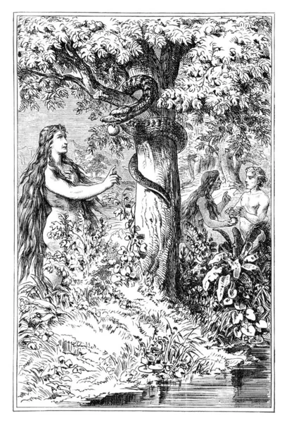 Éva beszél kígyóval és Ádámmal a tiltott fa gyümölcséről az Édenkertben. Biblia, Ószövetség. Vintage antik rajz — Stock Fotó