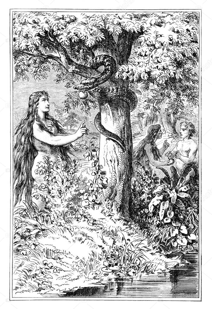 Eve Talking with Serpent and Adam About Fruit from Forbidden Tree in Garden of Eden. Bible, Old testament. Vintage Antique Drawing