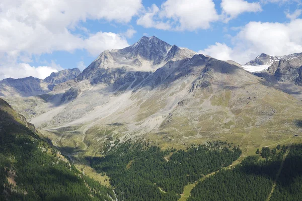 Alpen in de vinschgau — Stockfoto