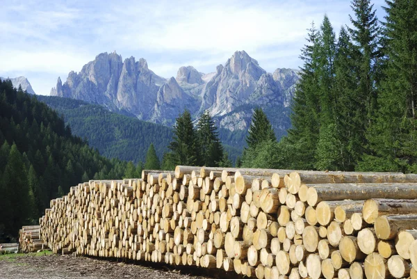 A Dolomitok tűzifa — Stock Fotó