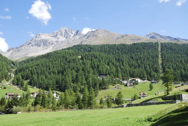 Alpen im Vinschgau — Stockfoto