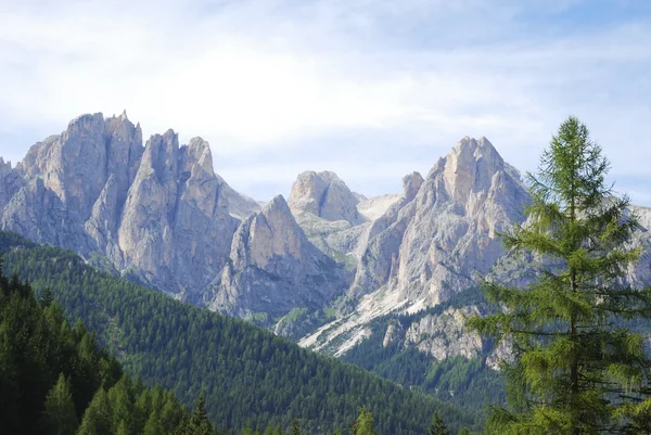 Cumbre de montaña — Foto de Stock