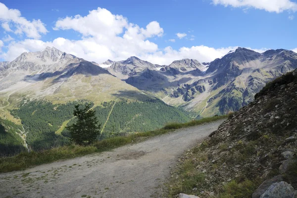 Alpen in de vinschgau — Stockfoto