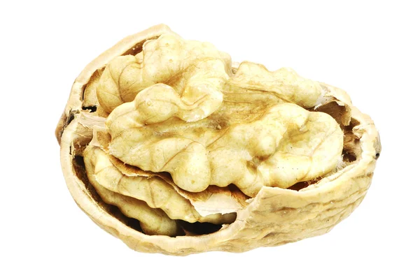 Walnut — Stock Photo, Image