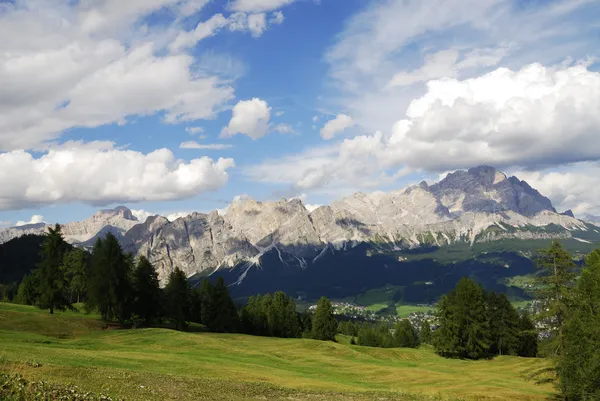 Pradera alpina — Foto de Stock