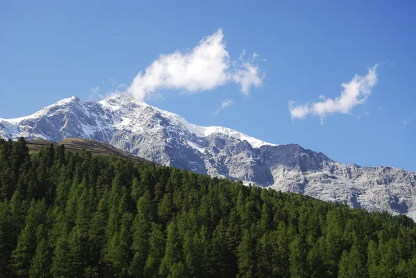 Όρος ortler — Φωτογραφία Αρχείου