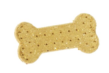 Köpek kemiği