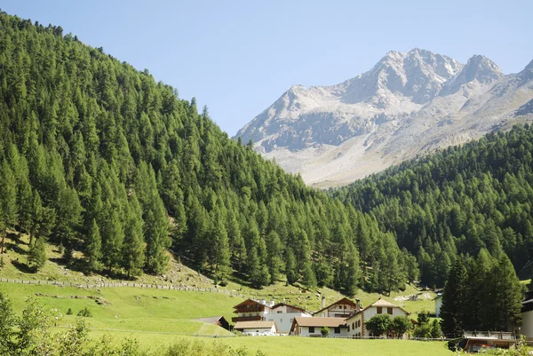 Alpes no Vinschgau — Fotografia de Stock