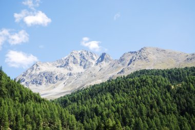 vinschgau Alps