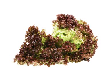 barda perimetral en dinard Costa, Bretaña, Francia