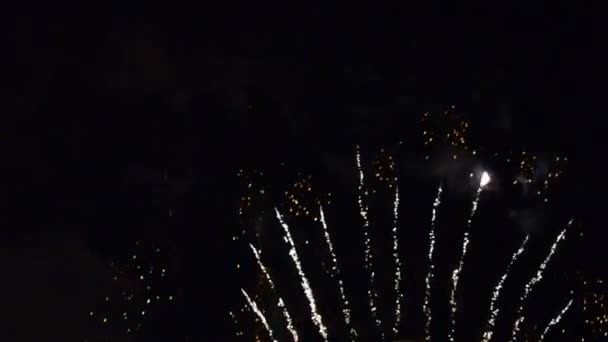 Fogos de artifício — Vídeo de Stock