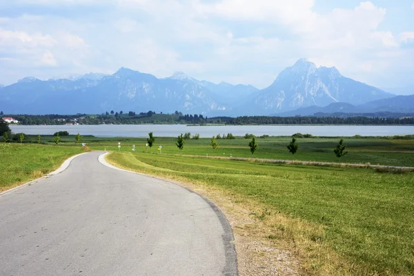 Strada alpina — Foto Stock