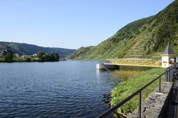 River Moselle — Stock Photo, Image