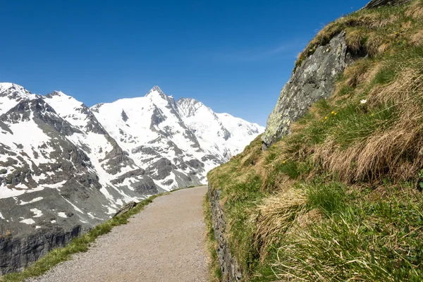 Alpine Path — Stock Photo, Image