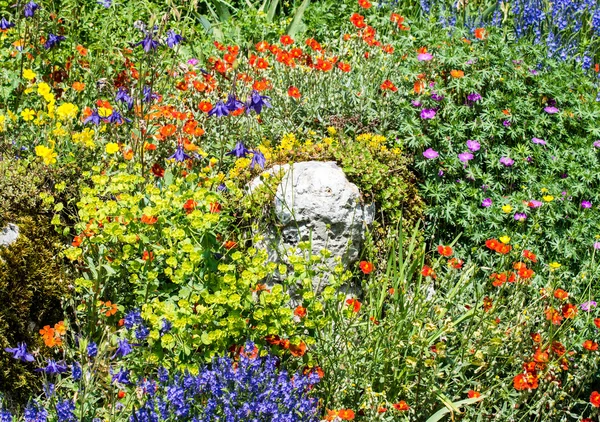 Flower Bed — Stock Photo, Image