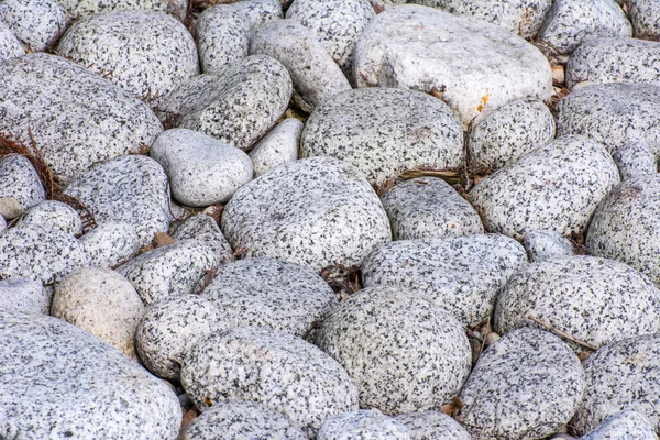 Gri çakıl — Stok fotoğraf