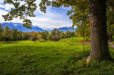 Murnau 'daki çayır (Bavyera, Almanya) Alpleri görmektedir.