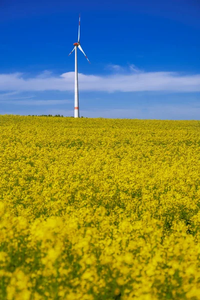 Criação Energia Alternativa Com Energia Eólica — Fotografia de Stock