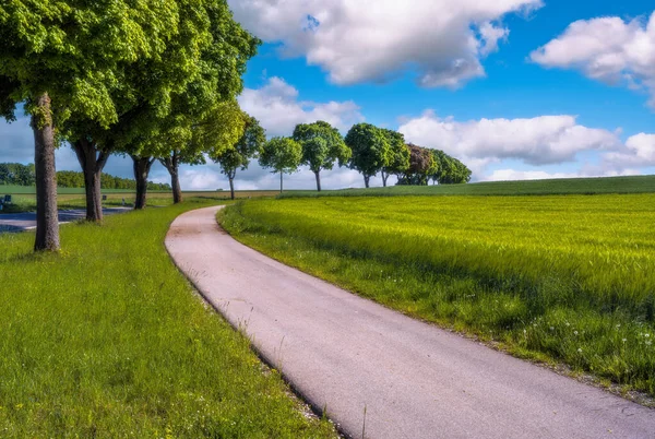 Small Country Road Curve Some Trees — Stock Photo, Image