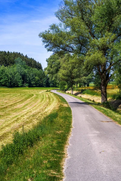 Paesaggio Con Una Tortuosa Strada Campagna Baviera — Foto Stock