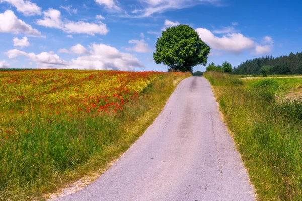 Rural Landscape Cornfield Red Poppies Bavaria — kuvapankkivalokuva