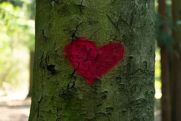 Red Heart Painted Tree Trunk Symbol Secret Lovers Love — Stockfoto