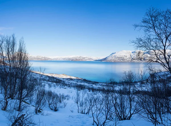 Pohled Fjord Atlantském Oceánu Zasněženým Polem Polární Oblasti Horami Pokrytými — Stock fotografie