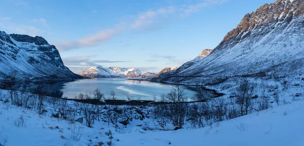 Utsikten Över Fjorden Vagbotn Atlanten Med Ett Snöfält Polarområdet Och — Stockfoto
