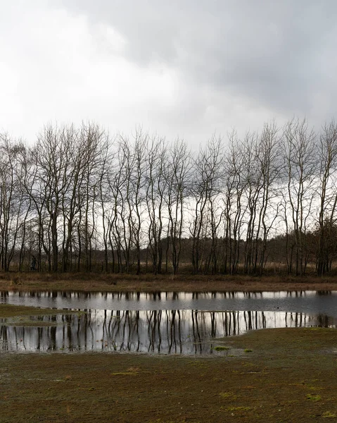 Uma Lagoa Simplesmente Com Pântano Como Aparência Pôr Sol Dia — Fotografia de Stock