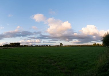 Kümülüs bulutları ve güneş panoramik manzaralı yeşil çimen tarlası