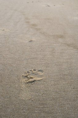 Kumsalda kumsalda bir insanın ayak izleri var. Etrafta olduklarına dair kanıt bırakıyorlar.