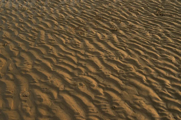 一个落日在海滩上 在法国的欧宝海岸上 有大海 有沙子 有结构 复制空间 水平号 — 图库照片