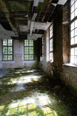 Valkenburg 'da çürümüş odaları ve salonları olan terk edilmiş bir manastır. Hollanda.
