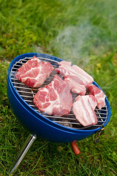 Grilling at summer weekend — Stock Photo, Image